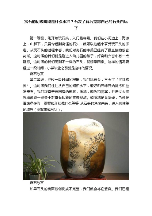 赏石的初级阶段是什么水准？石友了解后觉得自己的石头白玩了