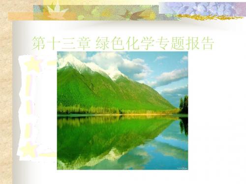 第十三章 绿色化学专题报告