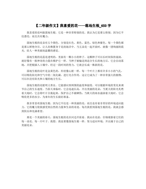 【二年级作文】我喜爱的花——落地生根_650字