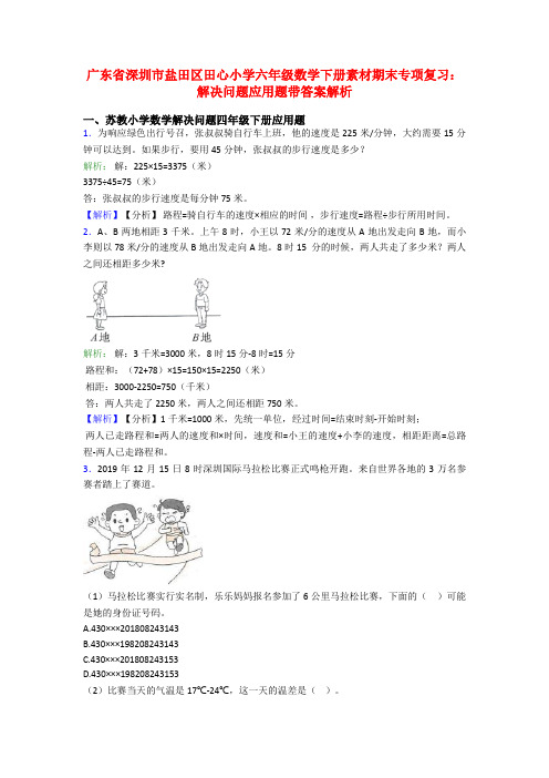 广东省深圳市盐田区田心小学六年级数学下册素材期末专项复习：解决问题应用题带答案解析