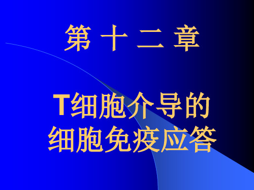 第十二章  T细胞介导的细胞免疫应答