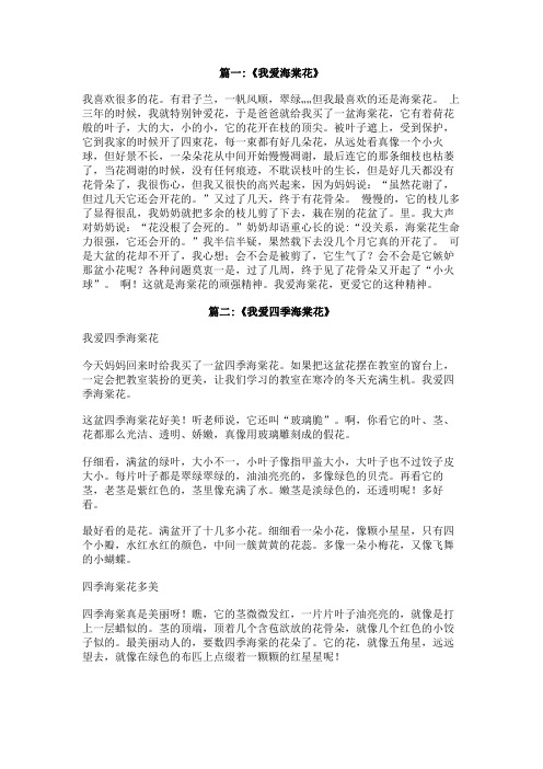 我爱海棠花600