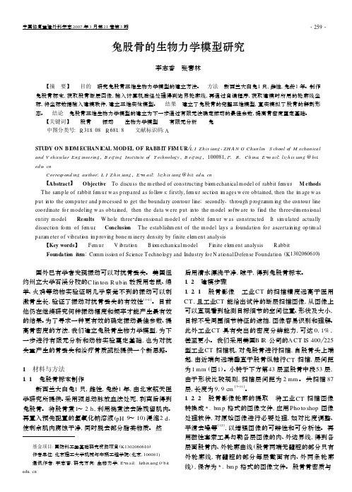 兔股骨的生物力学模型研究