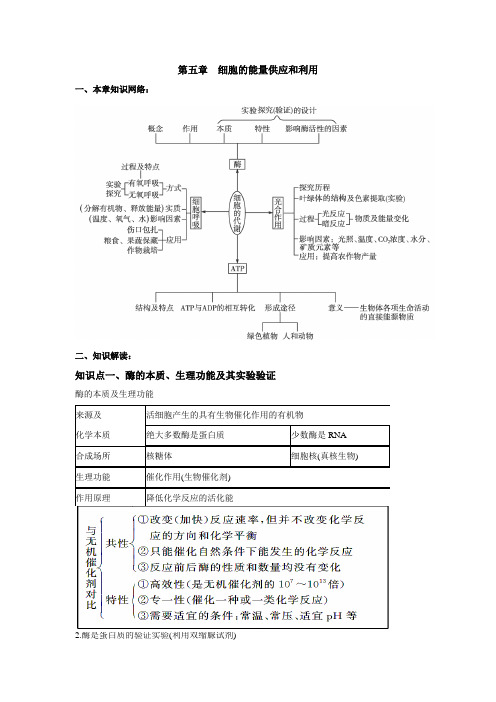 高一生物人教新课标版必修一知识梳理第五章细胞的能量供应和利用期末知识梳理