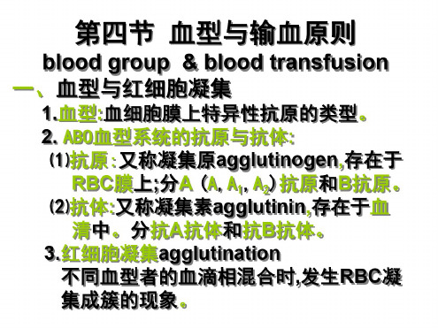 八年级生物输血与血型9