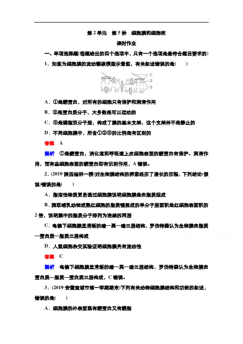 2021新高考生物考试B方案一轮复习：第2单元第5讲细胞膜和细胞核