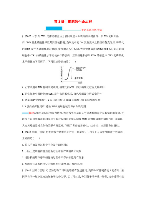 2021高考生物二轮复习 第3讲 细胞的生命历程学案-人教版高三全册生物学案