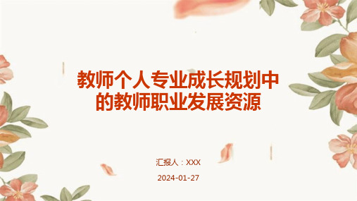 教师个人专业成长规划中的教师职业发展资源