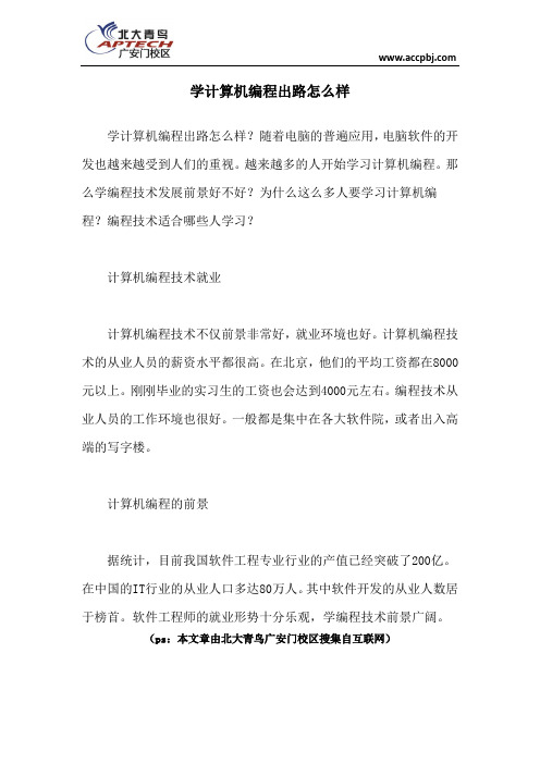 学计算机编程出路怎么样