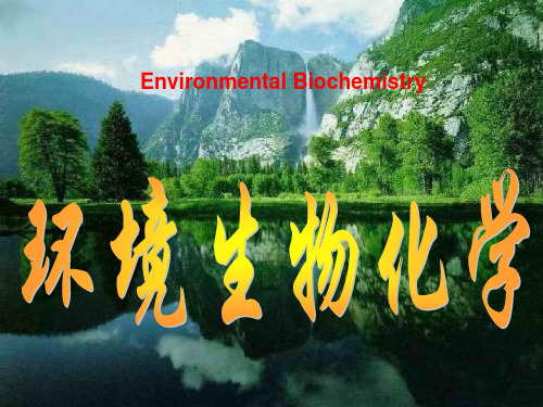 《环境生物化学》PPT课件