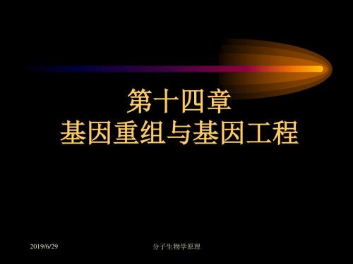 精选分子生物学原理基因工程资料