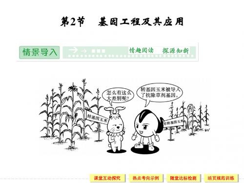 (新课标人教版)生物必修二：6-2基因工程及其应用