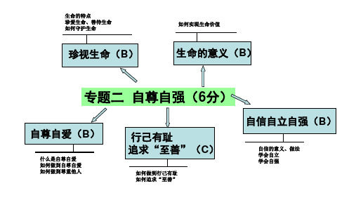 中考政治复习 专题二   自尊自强