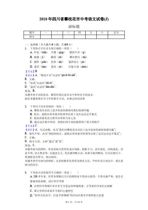 2010年四川省攀枝花市中考语文试卷(J)