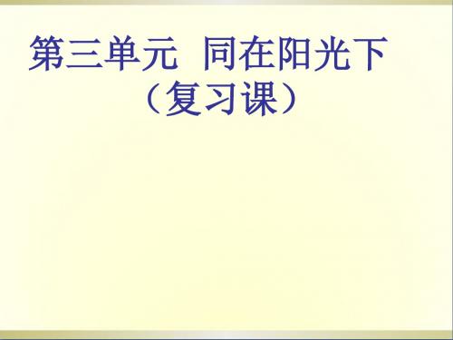 九年级政治全册《专题同在阳光下》复习课件新人教版