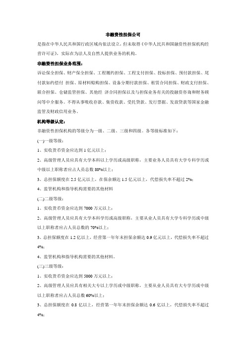 非融资性担保公司