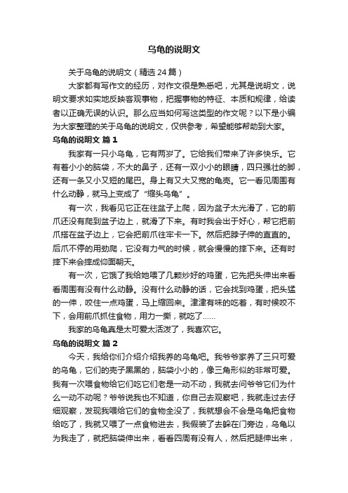 关于乌龟的说明文（精选24篇）