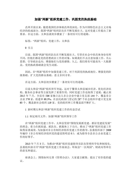 加强“两新”组织党建工作,巩固党的执政基础