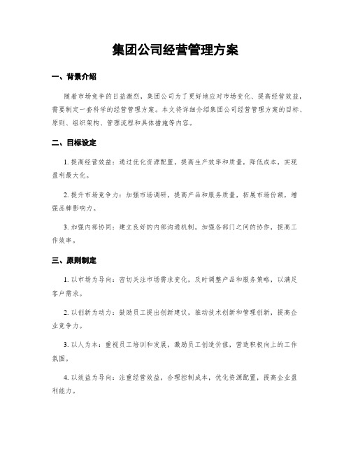 集团公司经营管理方案