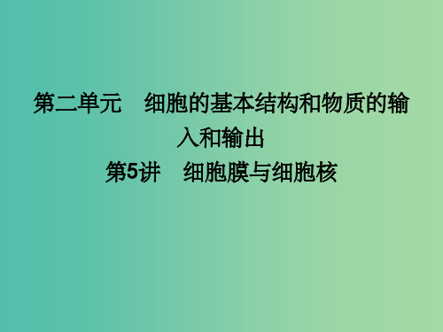 高考生物一轮复习 第二单元 细胞的基本结构和物质的输入和输出 第5讲 细胞膜与细胞核课件