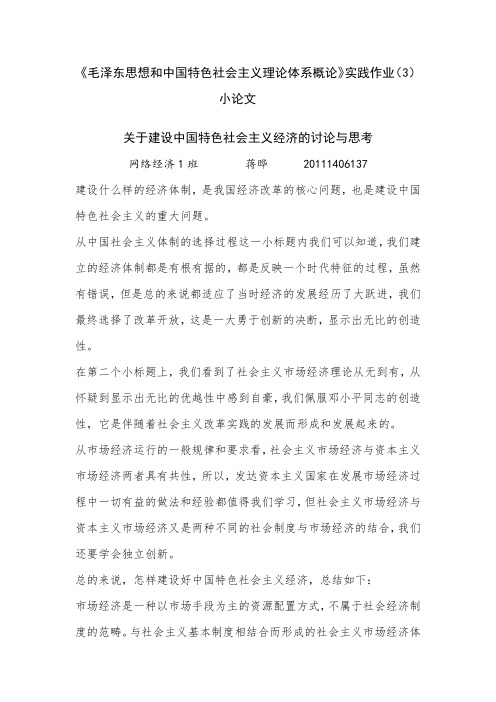 关于建设中国特色社会主义经济的讨论与思考