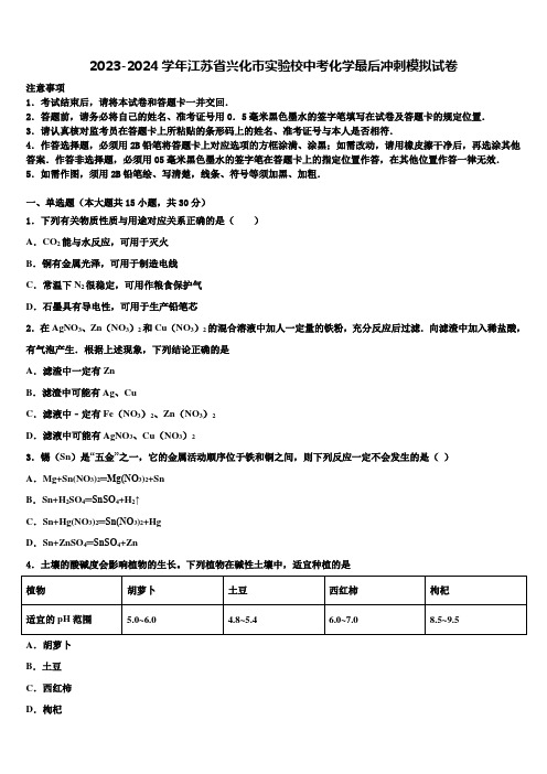 2023-2024学年江苏省兴化市实验校中考化学最后冲刺模拟试卷含解析