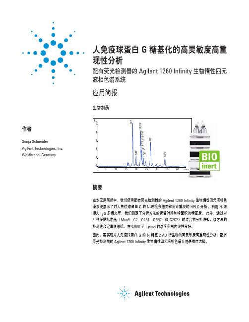 人免疫球蛋白 G 糖基化的高灵敏度高重现性分析