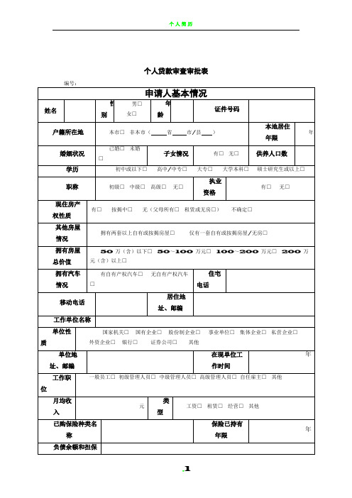 个人贷款审查审批表