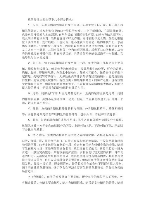 鱼的构成讲解