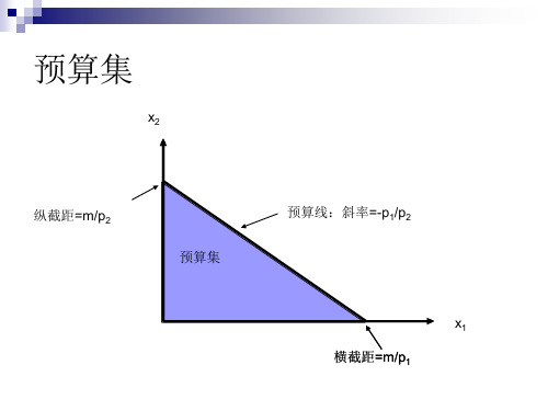 中级微观经济学重点