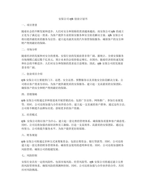 安保公司syb创业计划书