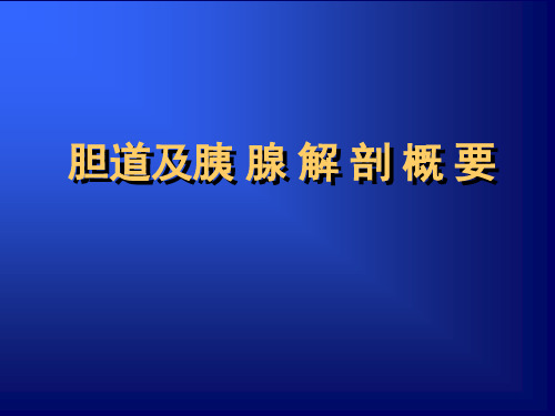 胆道及胰腺超声检查(4)