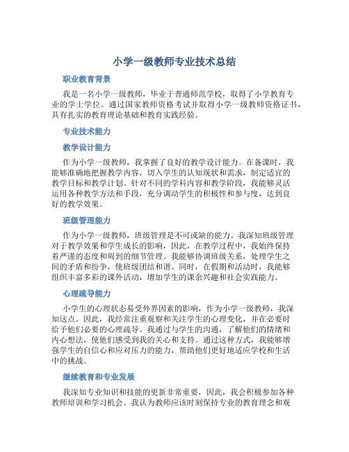 小学一级教师专业技术总结