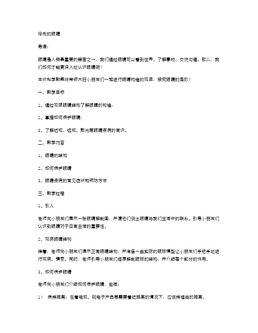 观察眼睛构造——大班科学教案：伶俐的眼睛