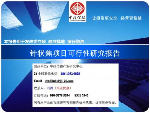 针状焦项目可行性研究报告的.ppt