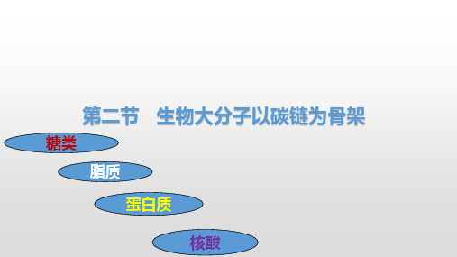 生物大分子以碳链为骨架 课件【新教材】高中生物必修