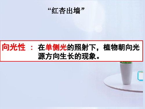 高中生物《第三章 第一节 植物生长素的发现》课件6 新人教版必修3