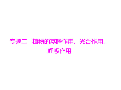 初中生物  中考九年级生物复习专题(6份打包) 人教版2精品课件