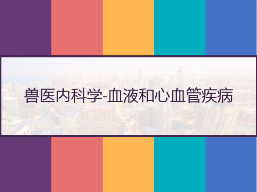 兽医内科学 血液和心血管疾病 PPT