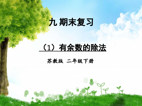 苏教版数学二年级下册(1)有余数的除法课件