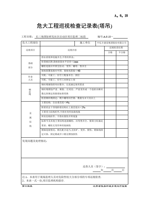 危大工程巡视检查记录表-(塔吊)【范本模板】