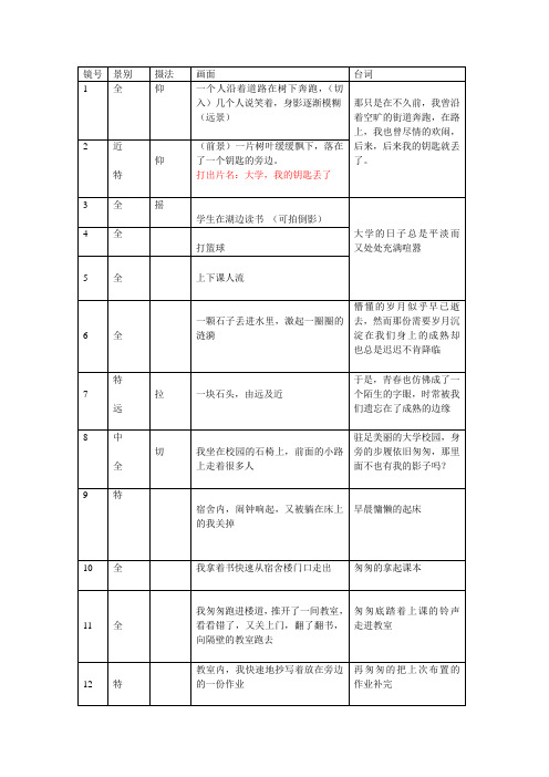 DV短剧脚本：遭遇青春