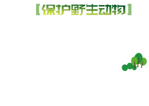 爱护小动物、保护小动物手抄报小报多篇彩色带内容可编辑 (11)