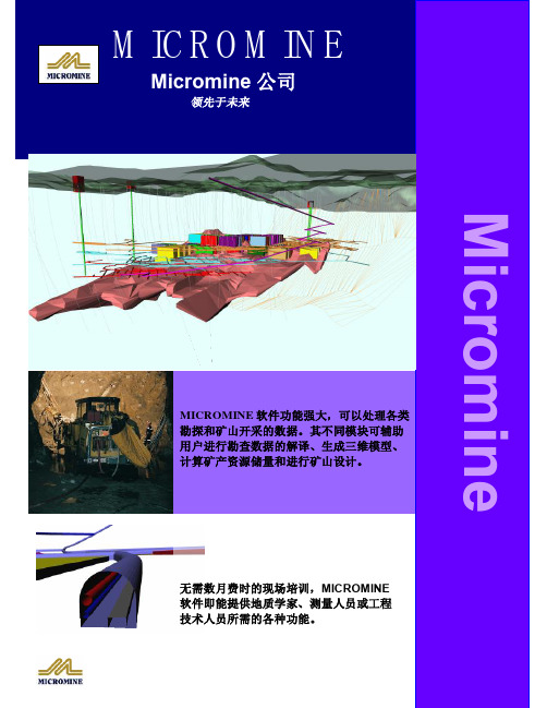 MICROMINE_介绍