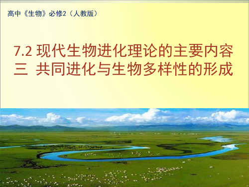 7.2.3共同进化与生物多样性的形成人教版高中生物必修2课件(共28张PPT)