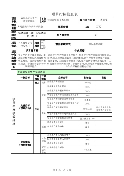 项目指标信息表