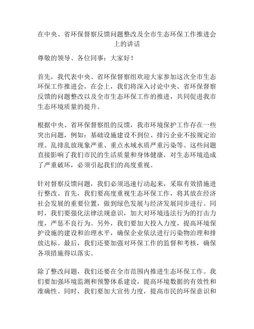 在中央、省环保督察反馈问题整改及全市生态环保工作推进会上的讲话