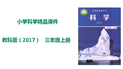 (教科版)三年级上册科学精品教学课件：3.4《测量降水量》