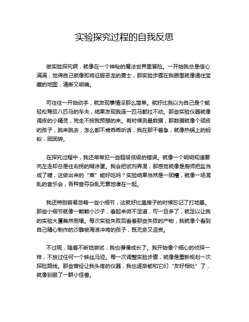 实验探究过程的自我反思