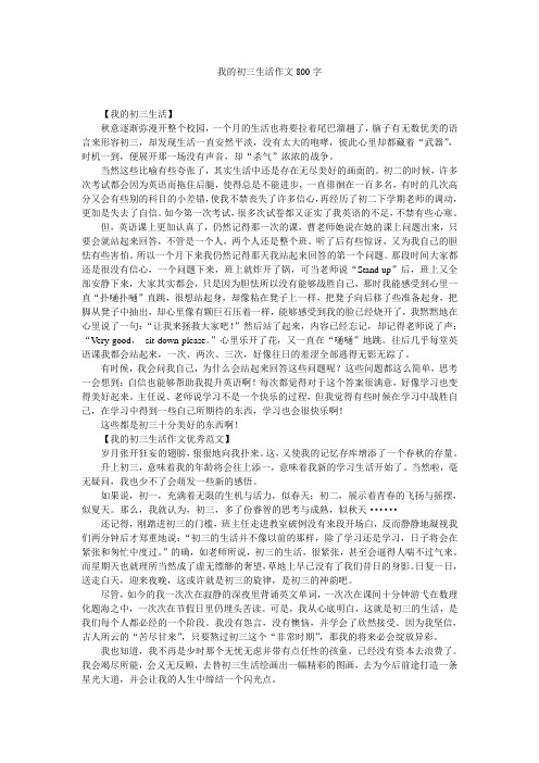 我的初三生活作文800字